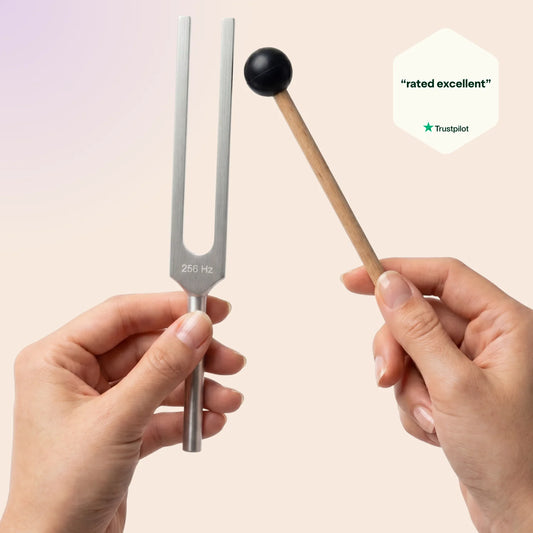 256 Hz tuning fork held by a hand with a wooden mallet on a beige background, Trustpilot rating visible.